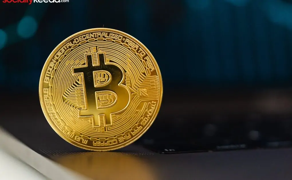 selective focus of a bitcoin on laptop computer