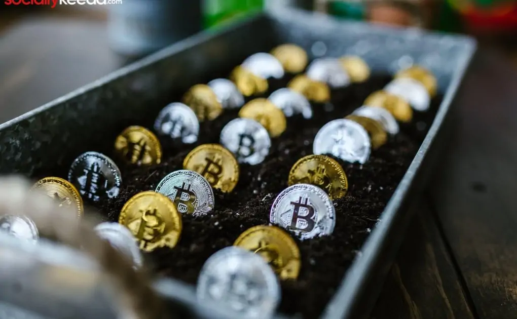 What impact may Bitcoin have on the world? Complete Guide