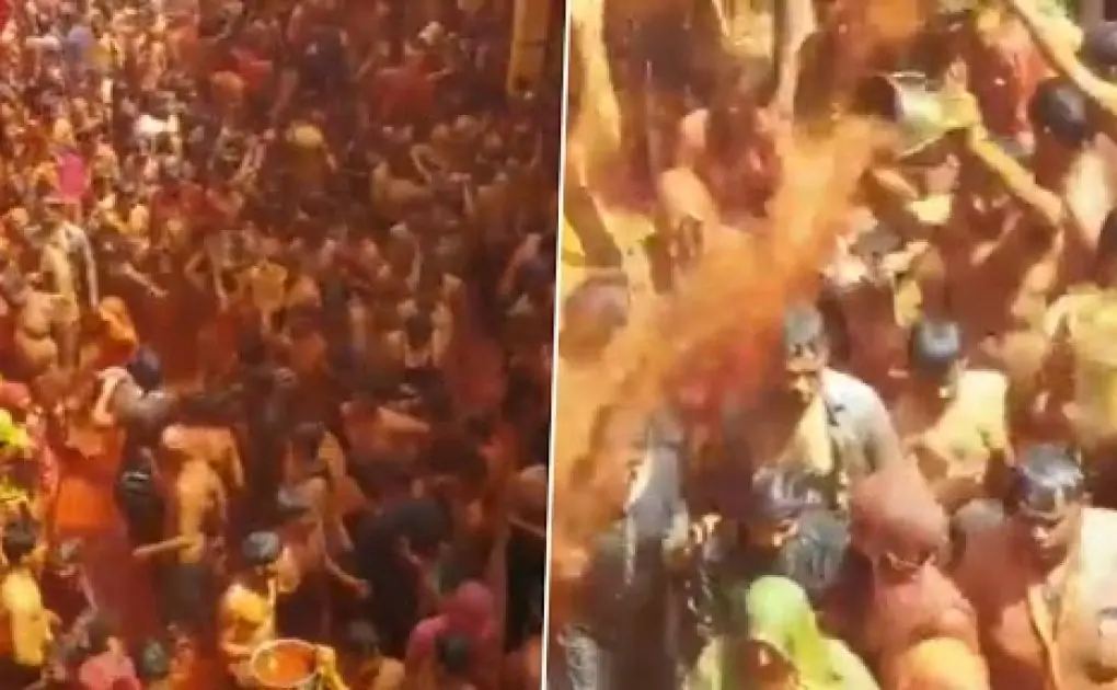 Holi 2021 Celebrations: Devotees Play ‘Kapda Fad’ Holi in Premises of Dauji Temple in Baldeo Area of Mathura District in Uttar Pradesh (Watch Video)