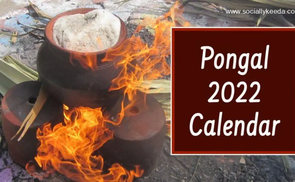 Pongal 2023 Full Calendar With Dates of Bhogi, Thai Pongal, Mattu Pongal and Kaanum Pongal, Know Everything About This Four-Day Festival of Tamil Nadu