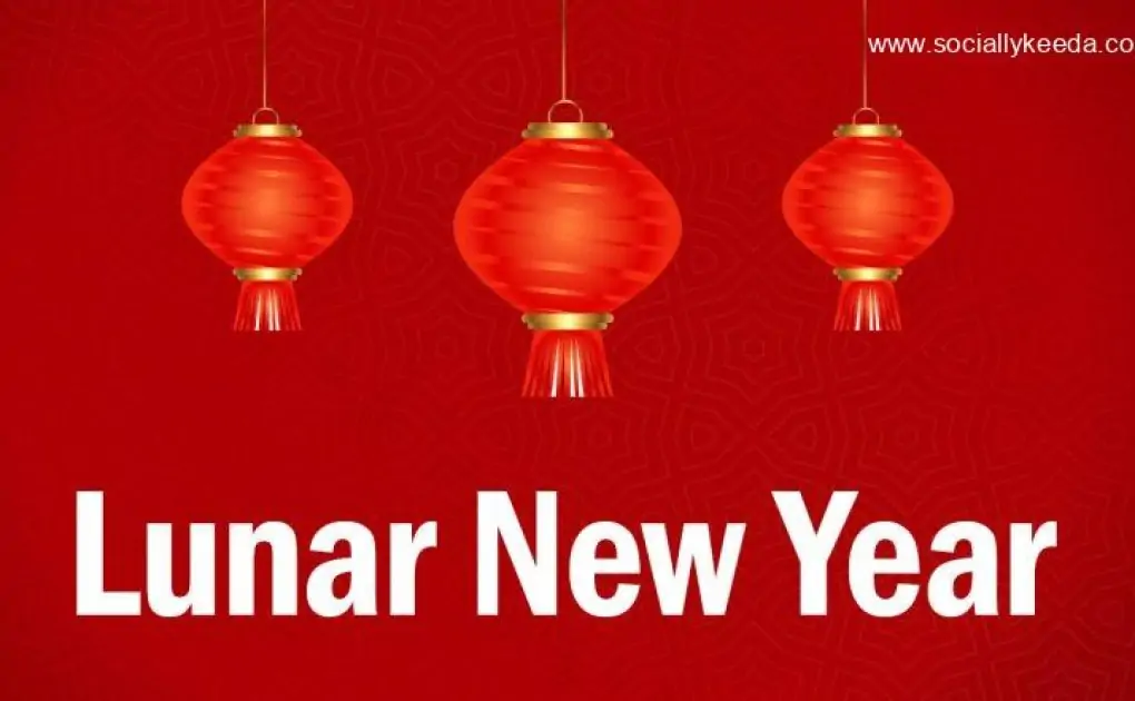 Lunar New Year 2023: Know Which Countries Celebrate New Year According to the Lunar Calendar 