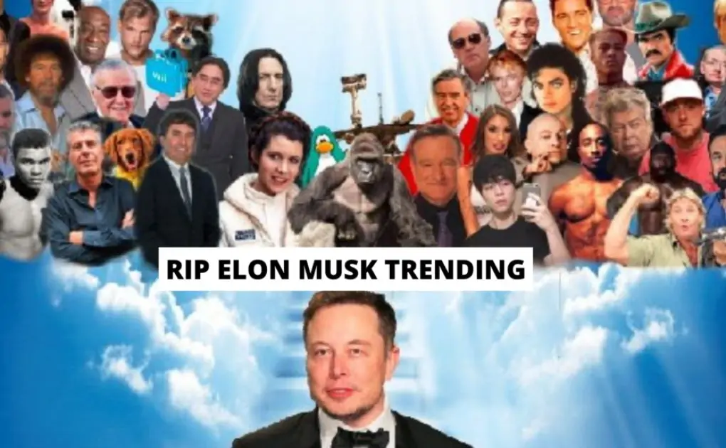 Rip Elon Musk Death Rumour Overrun With Memes On Twitter