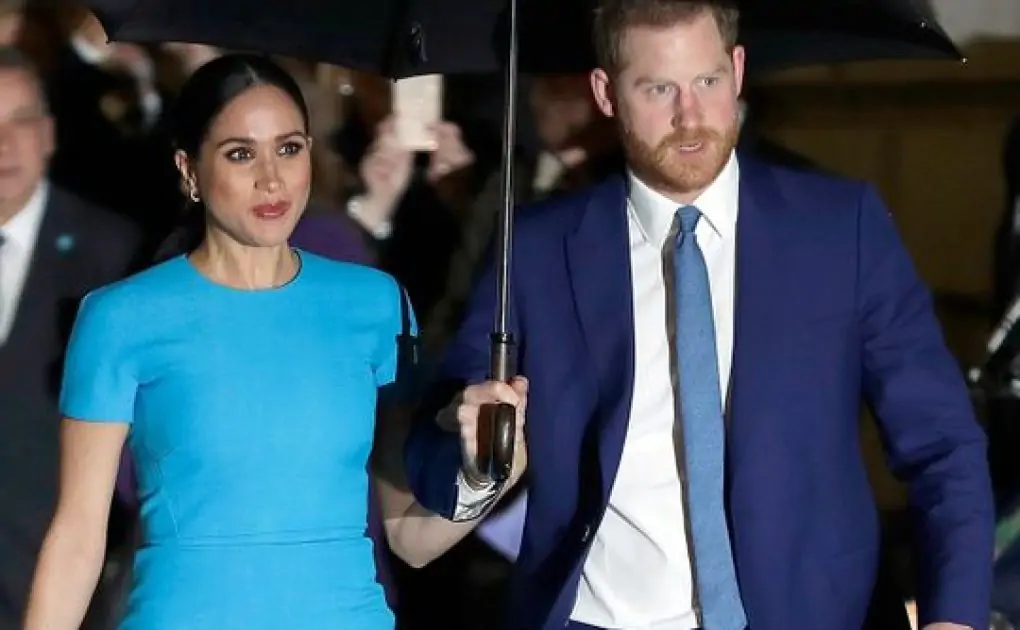 Prince Harry takes role fighting 'avalanche of misinformation'