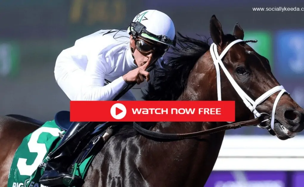 How to watch ‘Horse’ racing – SociallyKeeda.com – Socially Keeda