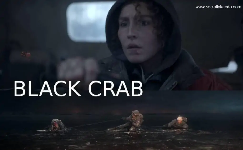 Watch Black Crab Movie (2023) Online on Netflix