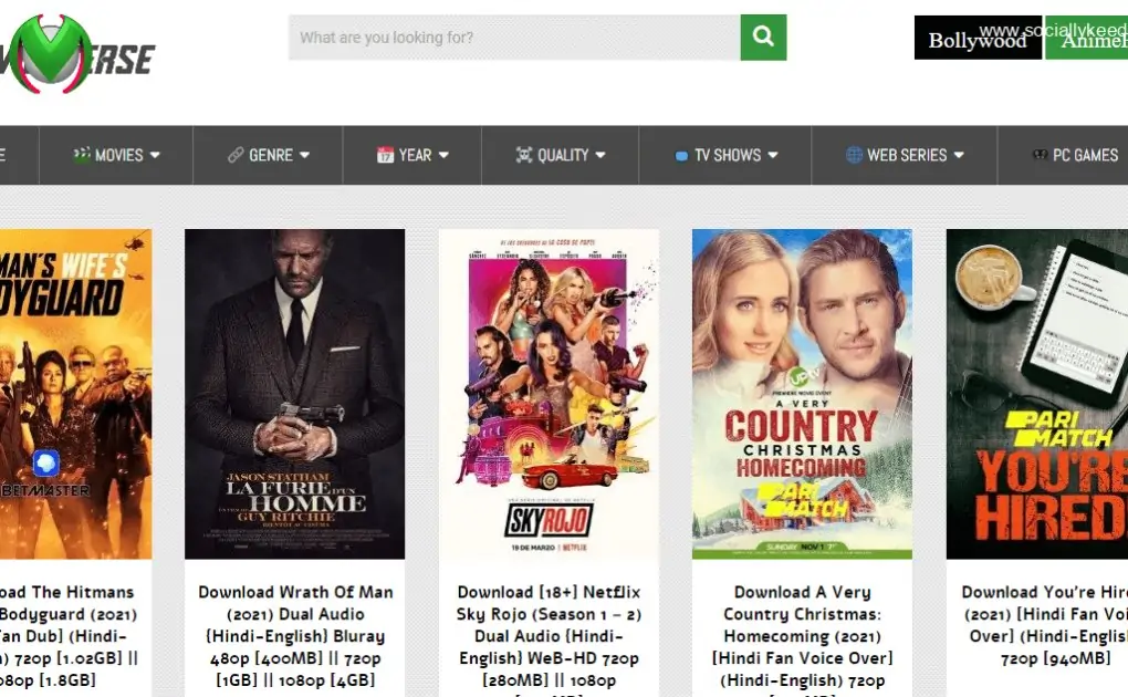 Moviesverse (2024): New Bollywood, Hollywood, Dubbed Movies Online For Free