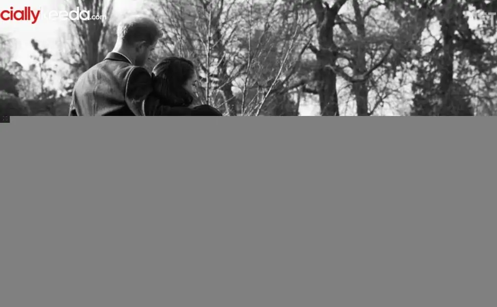 Harry and Meghan part 2 Leaked Online on GoMovies For Free Download