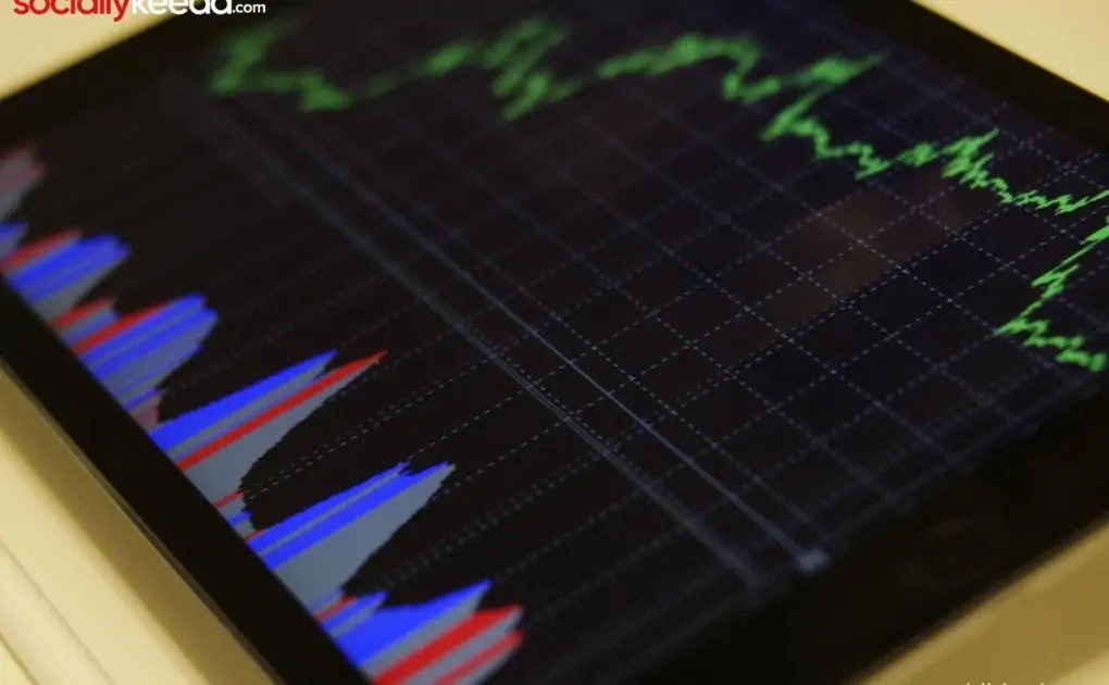 Why should you buy multibagger stocks?