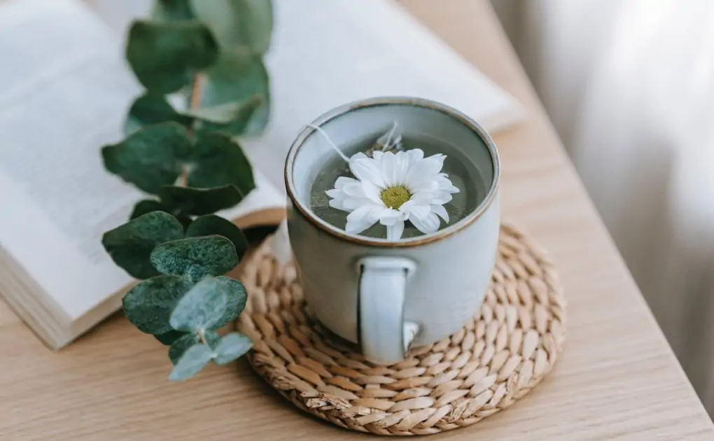 green tea with blooming chrysanthemum near eucalyptus on table,