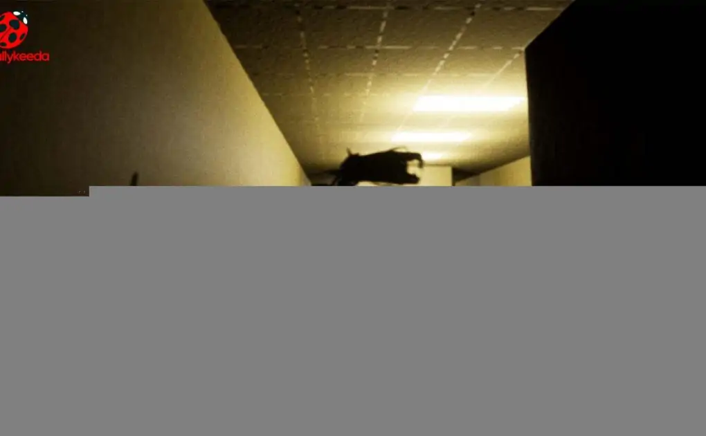 Best Backrooms games: no-clipping has never been more fun – or terrifying  - SociallyKeeda