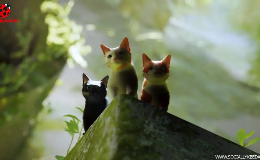 You can now play Stray in splitscreen multiplayer  - SociallyKeeda