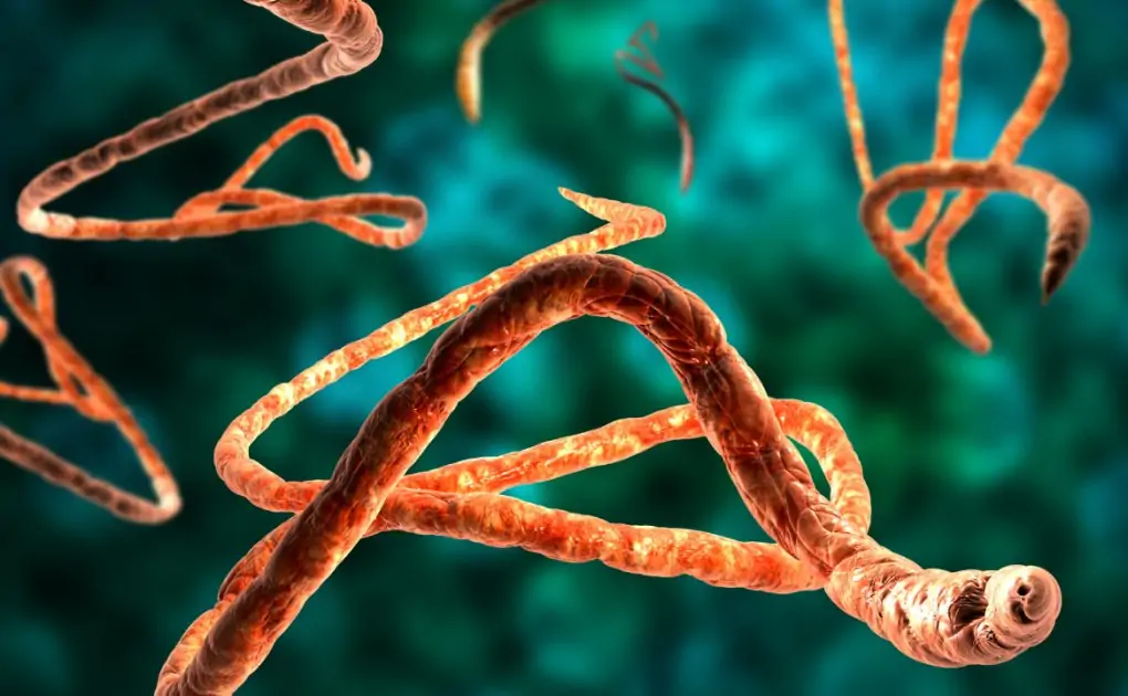 'Jacques Muyembe Tamfum' Doctor who found Ebola Virus warns about 'Disease X', more deadly than Corona