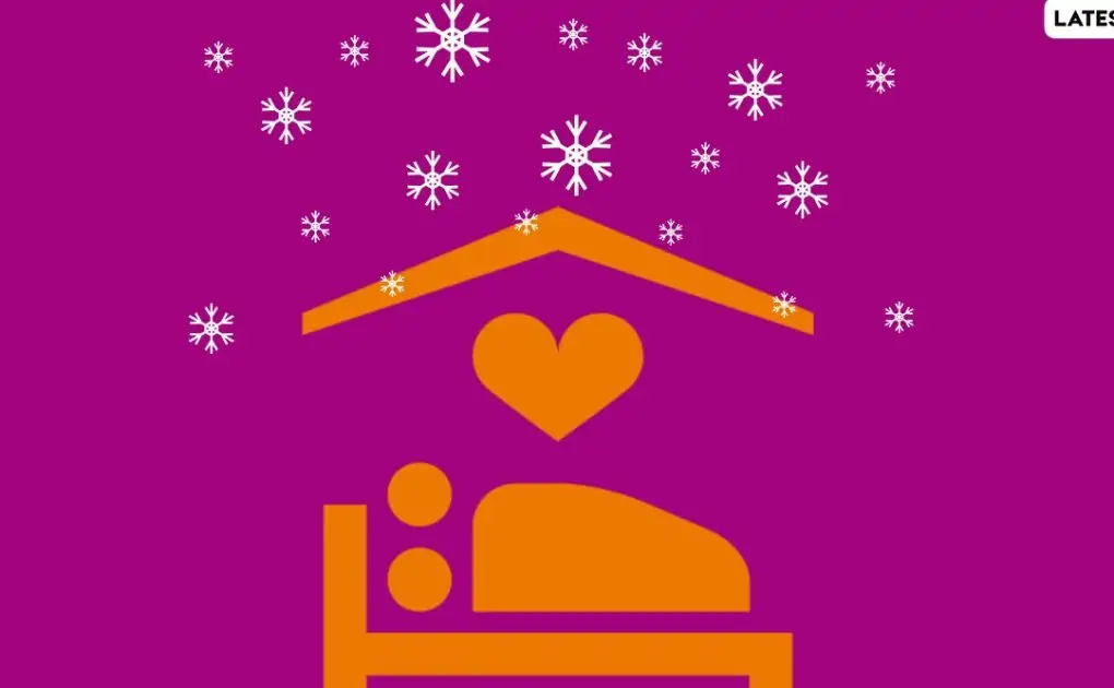Winter Sex Tips: From Positions to Foreplay, Ways to Make Sex WAY Hotter During the Chilly Season FOR Best Orgasm
