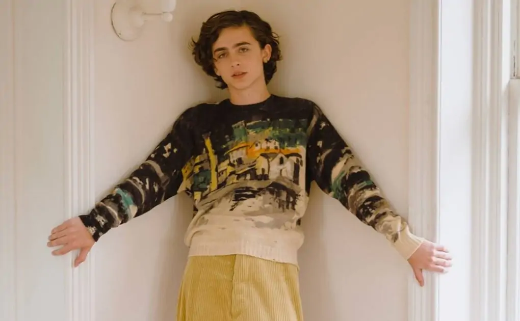 Timothee Chalamet in talks to star in Luca Guadagnino’s next