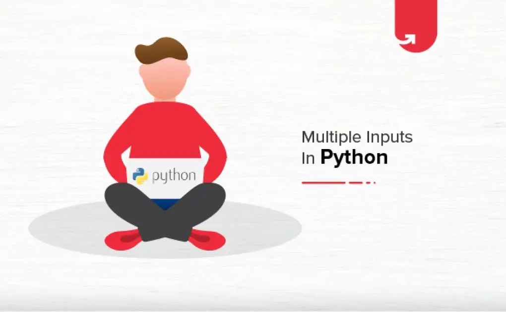 Multiple Inputs From User in Python | Python Input Program