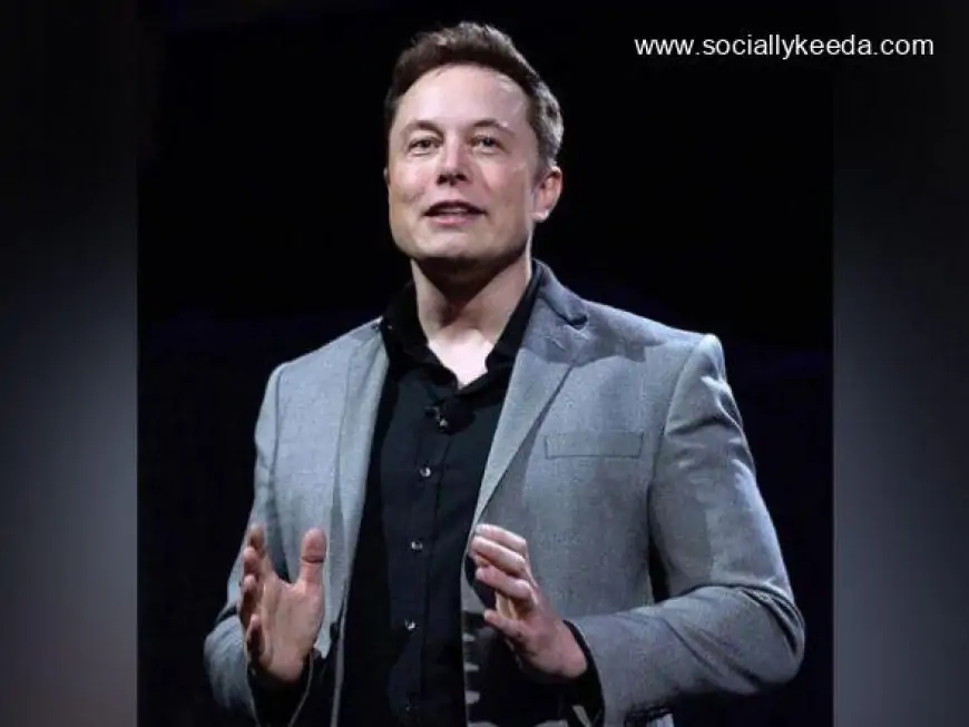 Tesla Working Through Many Challenges to Set Up Manufacturing Plant in India, Says Elon Musk