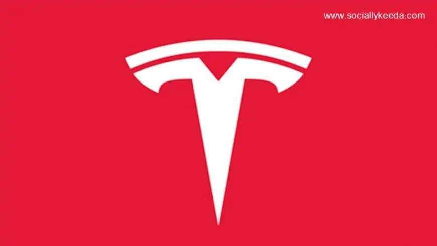 EV Maker Tesla Officially Enters Turkish Market: Report