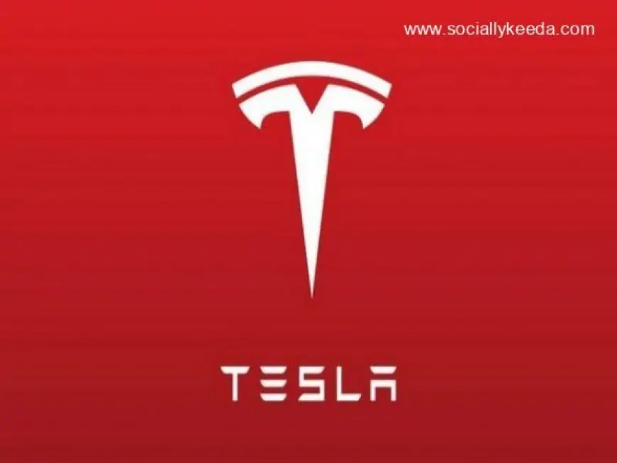 Tesla Will Have to Be 'Vocal for Local' If They Need Tax Sops, Says Finance Ministry Official