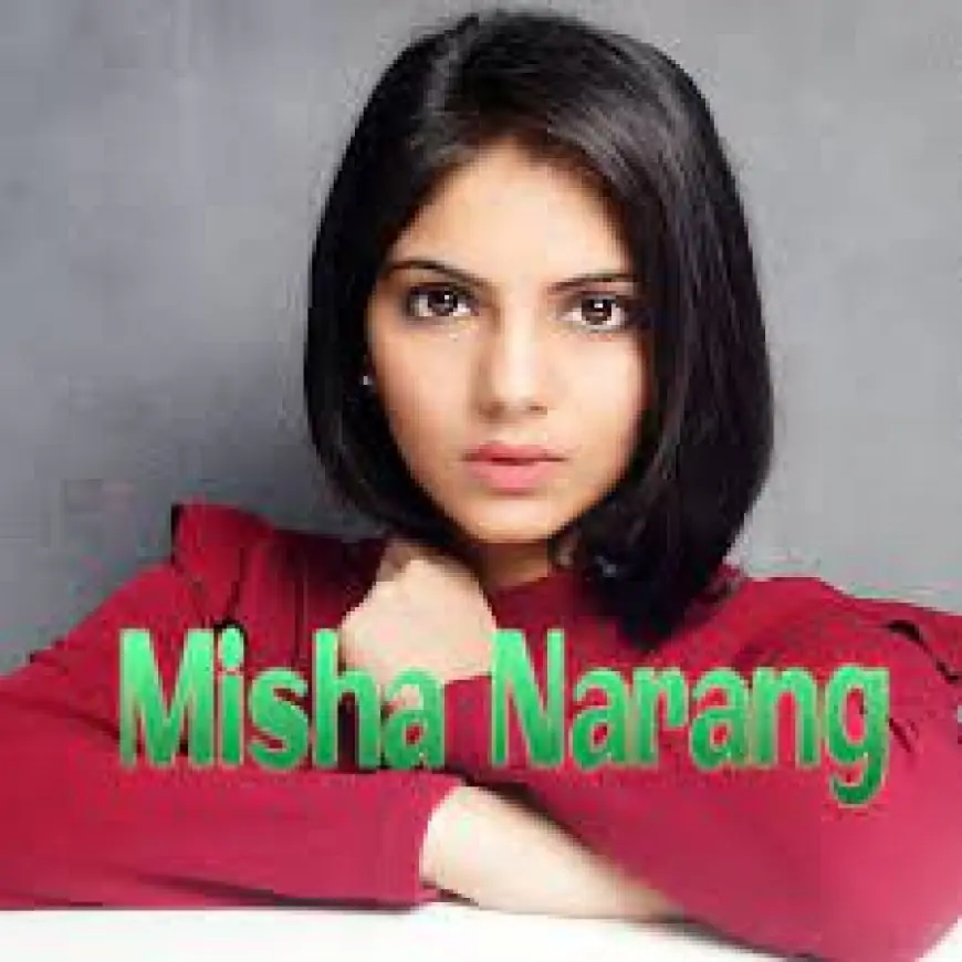 Misha Narang Wiki, Biography, Age, Movies, Videos, Images