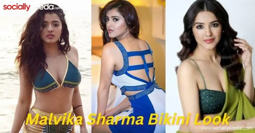 Leaked Bold Stunning Photoshoots of Malvika Sharma - Risky Girl Transparent Undergarments'