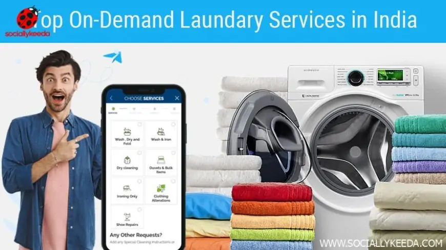 Top On-demand Laundry and Dry-Clean Apps in India