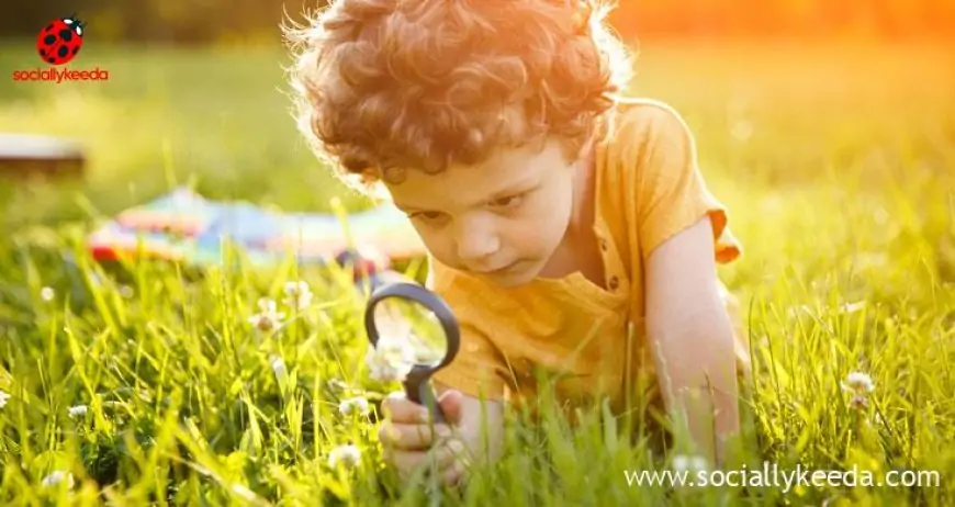 Effective Techniques To Teach Your Kids To Appreciate Nature