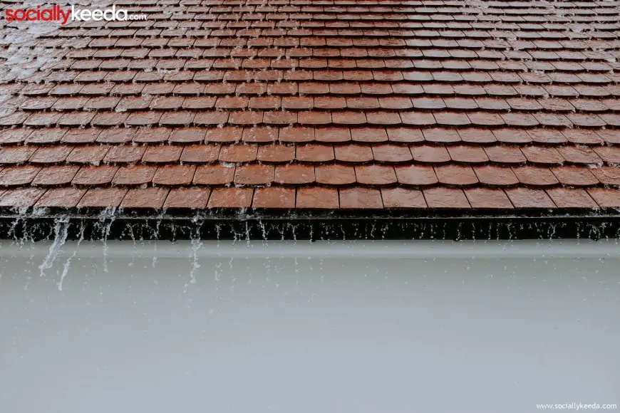 Roofing Services: Avoiding Unexpected Repairs in The Future
