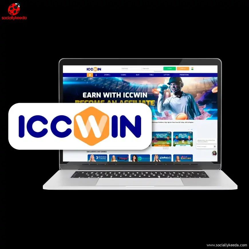 Review of ICCWin