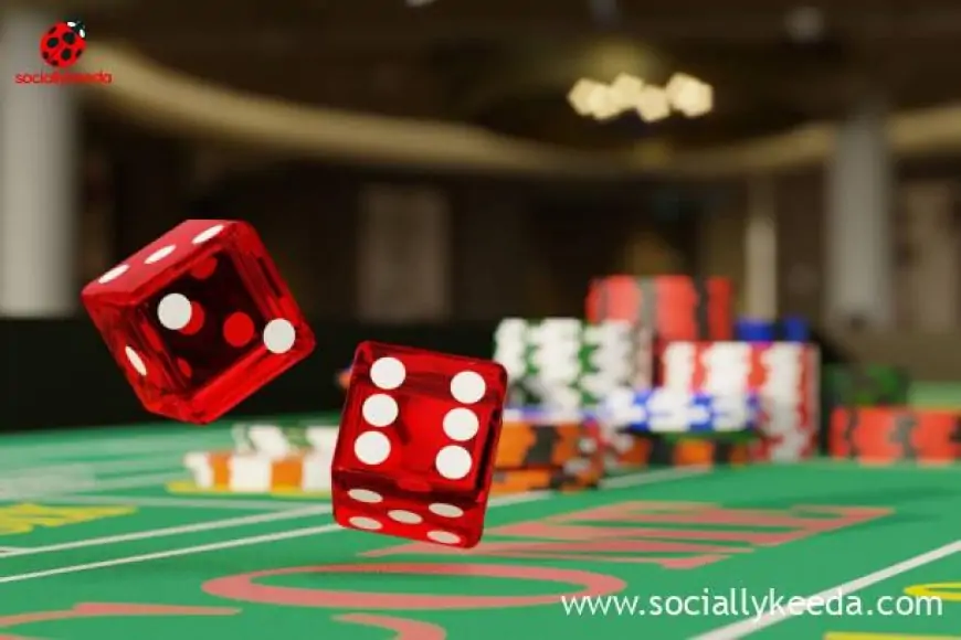 Platforms For Online Gambling With Outstanding Customer Support