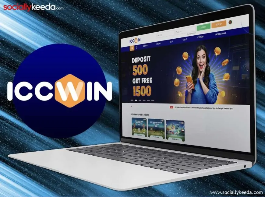 ICCWIN is The Leader and Most Dominant Bookmaker in India in 2023
