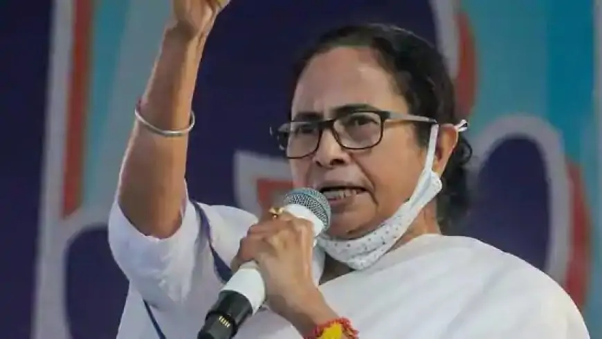 We rejoice Netaji not simply in election yr: Mamata Banerjees high 10 quotes