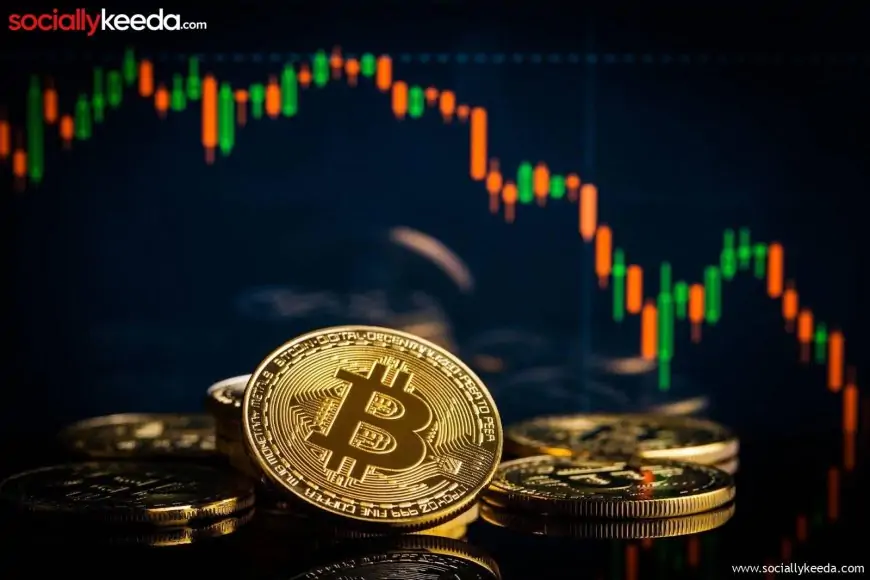 Fundamental Factors of Cryptocurrency Value Formation