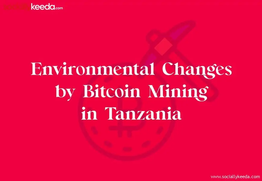 Environmental Changes by Bitcoin Mining in Tanzania