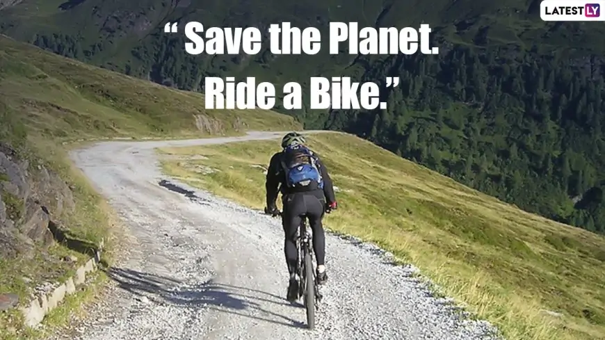 World Bicycle Day 2021: Quotes That Will Inspire You Peddle Into an Environmentally Sustainable Future