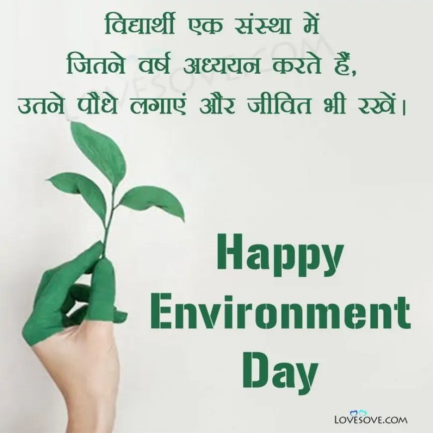 World Environment Day 5th June Quotes To Inspire You