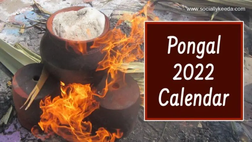 Pongal 2023 Full Calendar With Dates of Bhogi, Thai Pongal, Mattu Pongal and Kaanum Pongal, Know Everything About This Four-Day Festival of Tamil Nadu