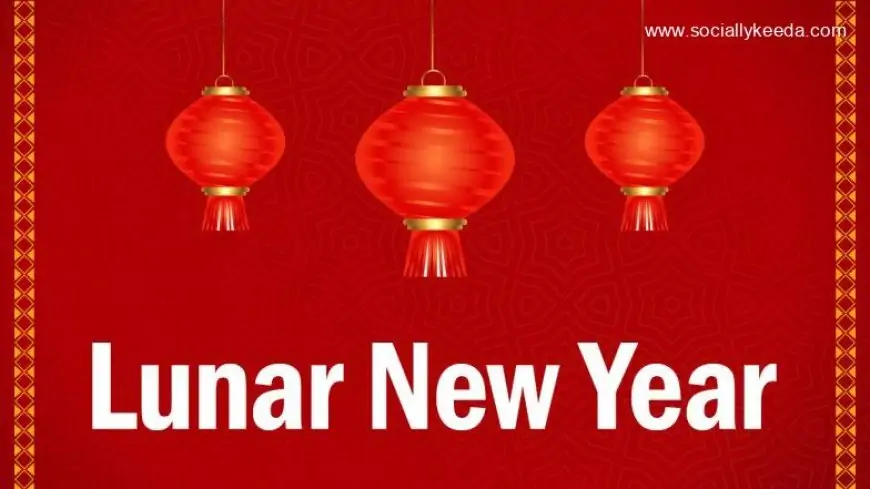 Lunar New Year 2023: Know Which Countries Celebrate New Year According to the Lunar Calendar 