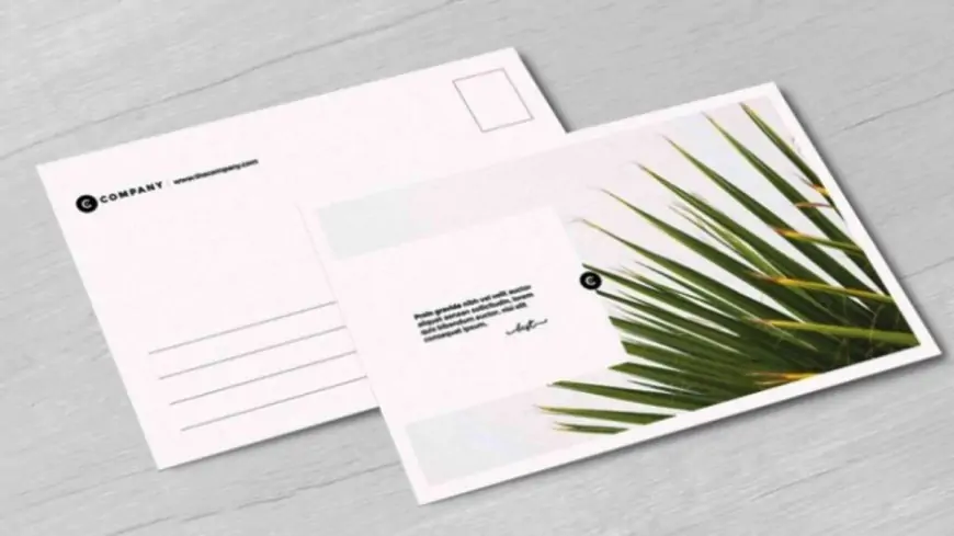Know how to attract customers by postcard printing