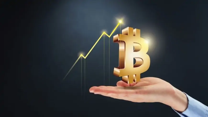 Money doubles in 3 months, crypto market up 157% this year