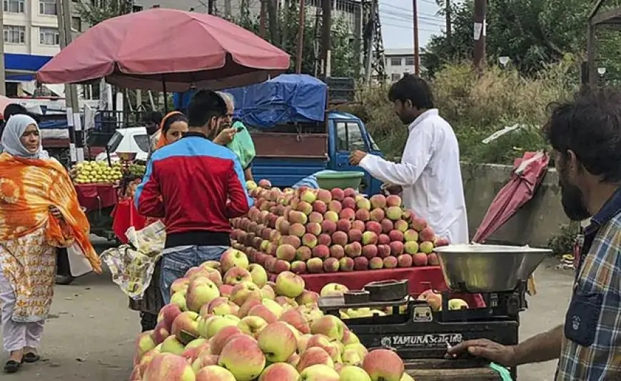 Check Out Interest Rates Of Bank Loans Under Prime Minister's Street Vendors Scheme