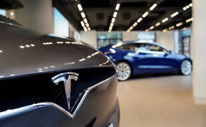 Tesla Inc Writes To Government Seeking Reduction In Import Duties On Electric Vehicles: Report