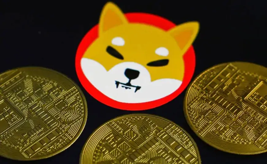 Meme Coin Alien Shiba Inu Rallied Over 500% In A Day