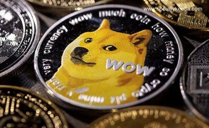 Tesla Merchandise Can Be Bought With Dogecoin, Tweets Elon Musk