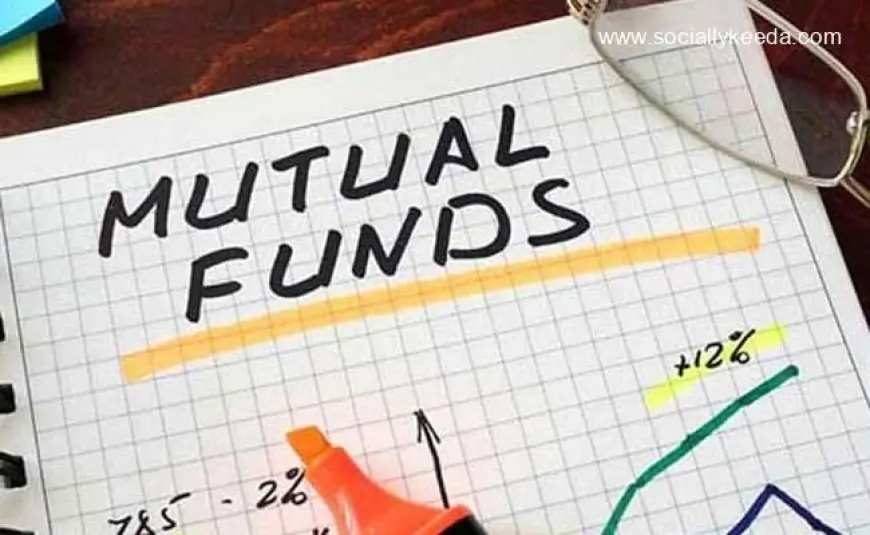 Top 5 Stocks Mutual Funds Bought And Sold In December 2021