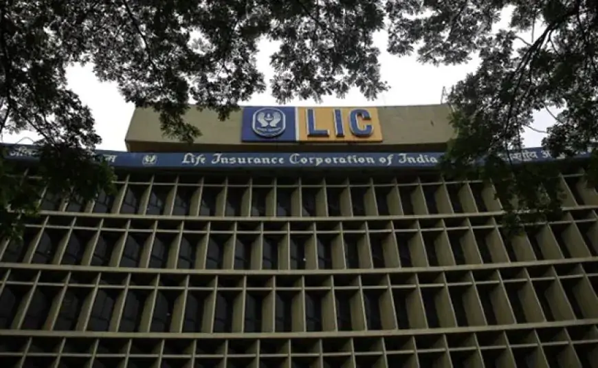 LIC's Embedded Value Set At Over Rs 5 Lakh Crore: Report