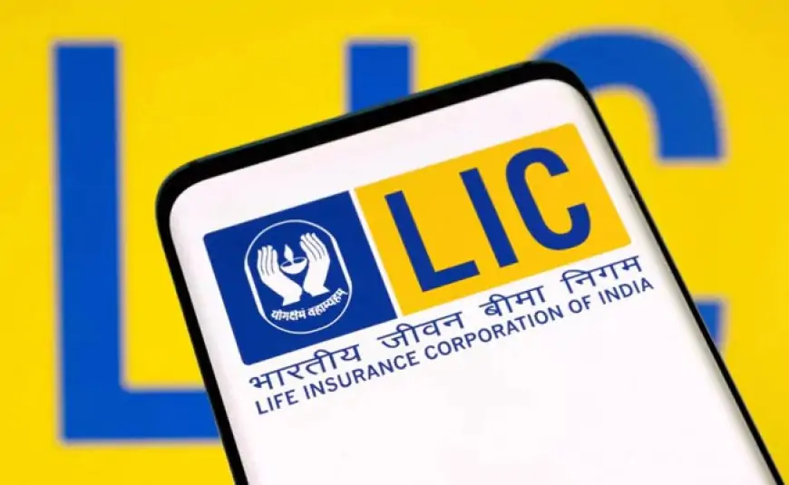 LIC's IPO Weighs On Other Insurer Shares, Investors Say