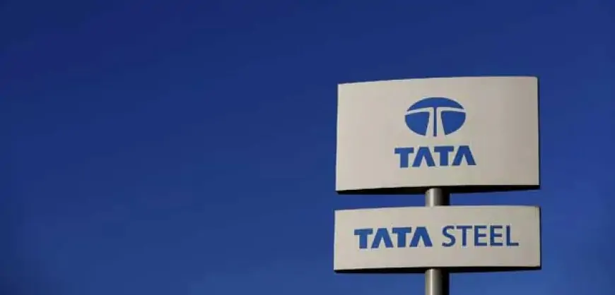 Why Tata Steel Share Price Is Falling?