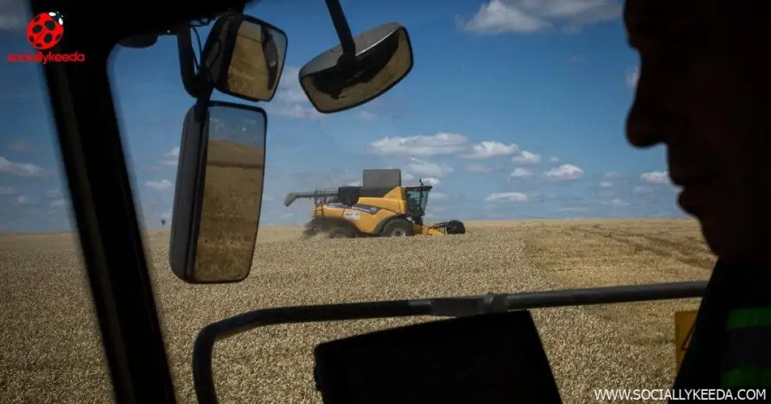 War, Climate Change, Energy Costs: How the Wheat Market Has Been Upended