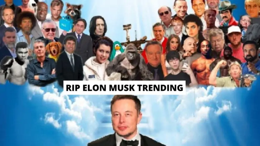 Rip Elon Musk Death Rumour Overrun With Memes On Twitter