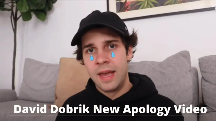 David Dobrik Second New Apology Video Response Trend Addresses Durte Dom Allegation